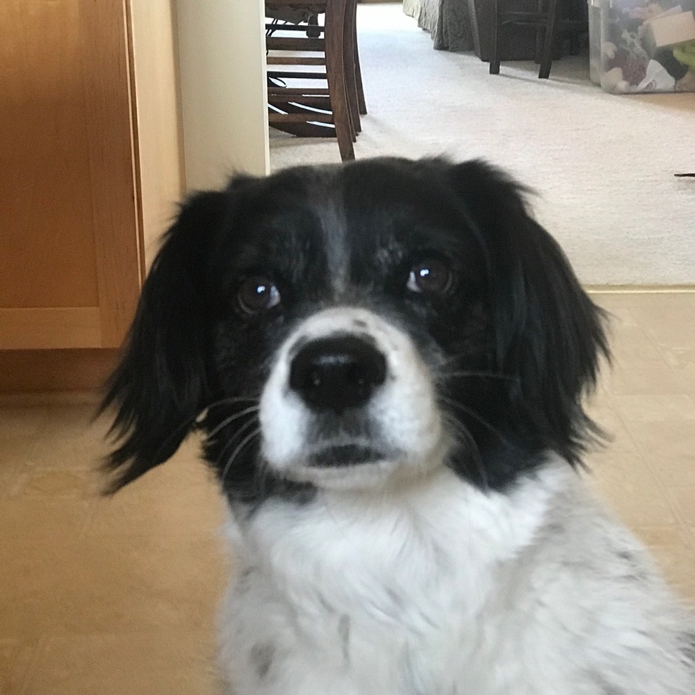 Meet your Posher, Colleen